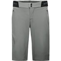 GORE C5 Shorts-lab gray-L