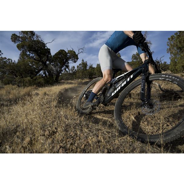 Anthem Advanced SL 2 L Mariana Blue