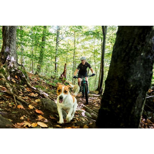 Pique Advanced SL 1 S Lake Green / Black