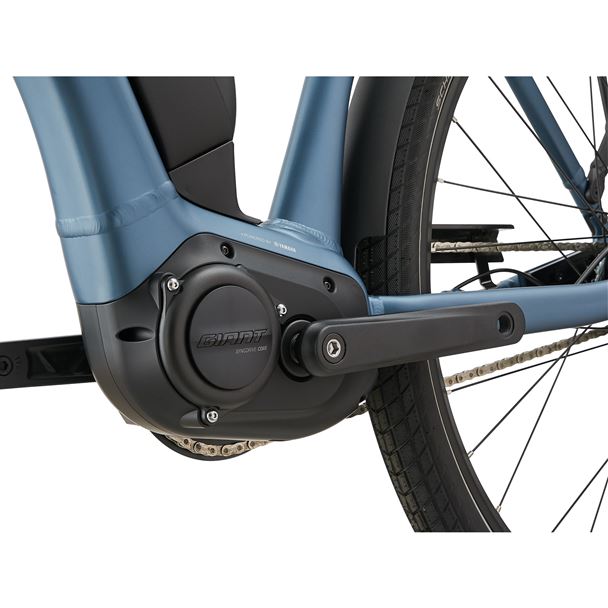 Expression E+ 1 RT M Blue Ashes