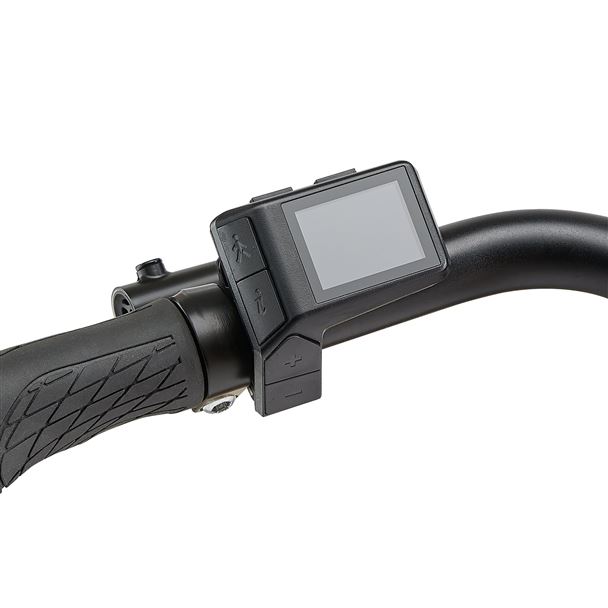 Expression E+ 1 RT M Blue Ashes