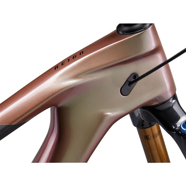 Reign Advanced Pro 0 M Messier/Carbon M24