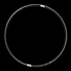 WHEEL Rim Synthesis Enduro Carbon 29 Rear