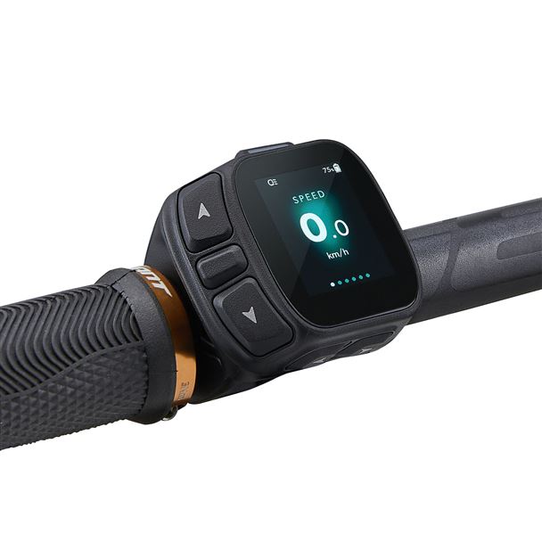 Stance E+ 2 BOX M Desert Sage