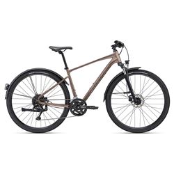 Roam 2 EX M Truffle