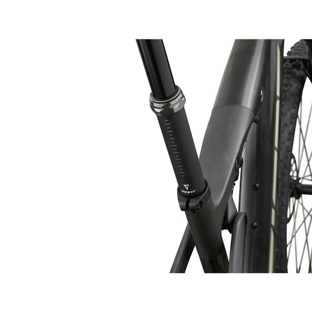 Anthem Advanced SL 0 L Raw Carbon