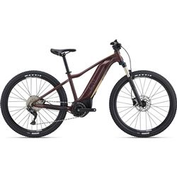 Tempt E+ 1 29er  L Figuier