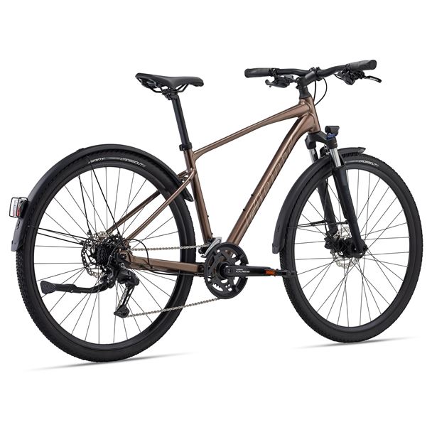 Roam 2 EX M Truffle