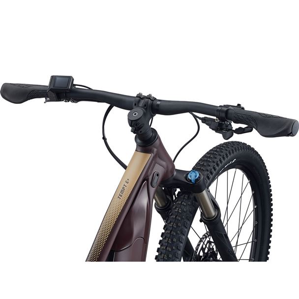 Tempt E+ 1 29er  L Figuier