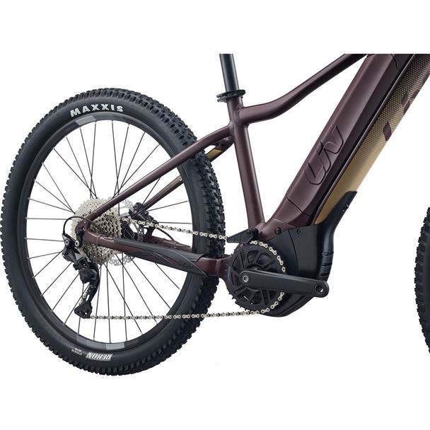 Tempt E+ 1 29er  L Figuier