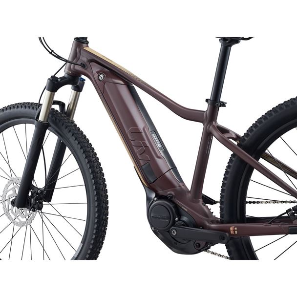 Tempt E+ 1 29er  L Figuier