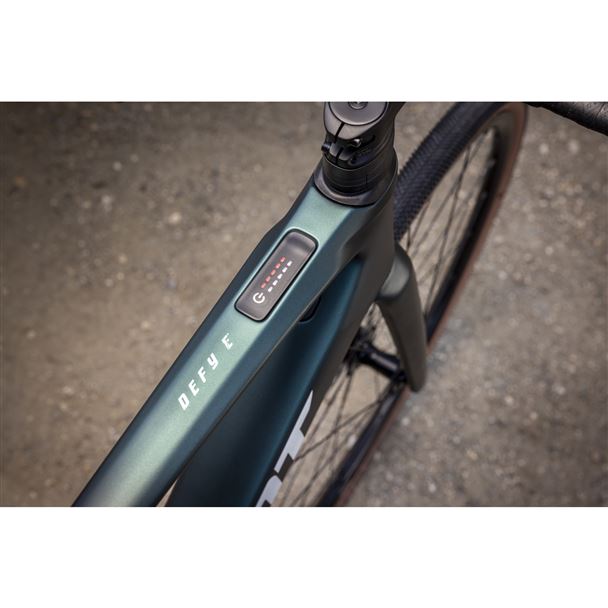 Defy Advanced E+ EL AR  M Kelp Forest-TEST