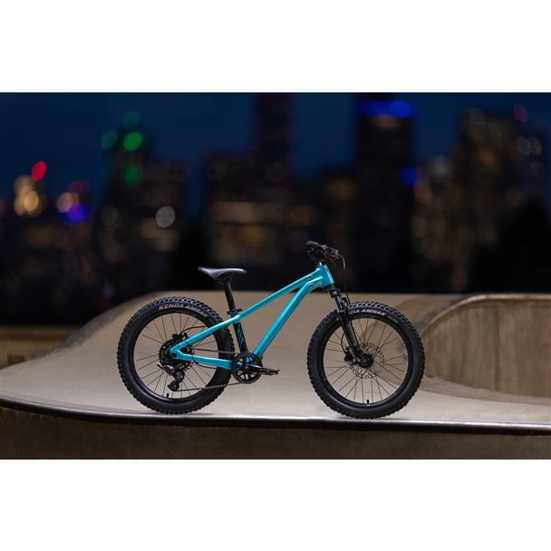 STP 20 FS-Giant One Size Teal