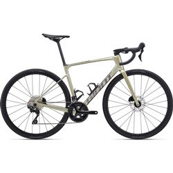 Defy Advanced 2 S Bay Leaf M24