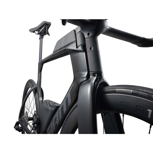 Trinity Advanced SL 1 M Carbon/Matte Carbon