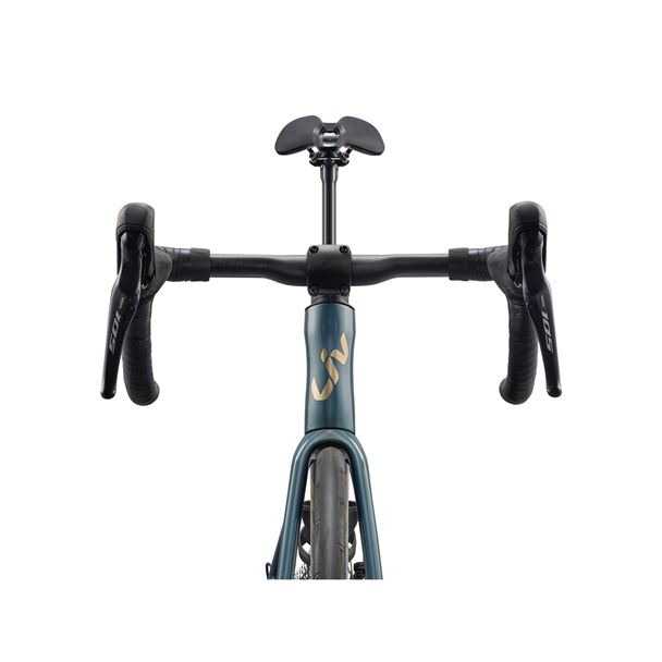 EnviLiv Advanced 2 M Midnight Pine