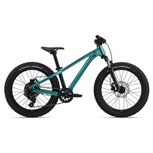 STP 20 FS-Giant One Size Teal
