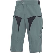 GORE C5 All Mountain Shorts-nordic-L