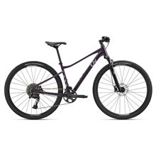 Rove 1 S Tyrian Purple