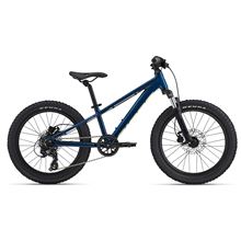 STP 20 FS-Giant  Blue Palace